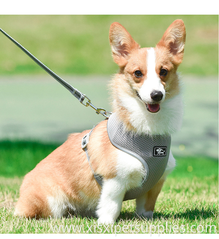 Wholesale OEM Adjustable Dog Harness